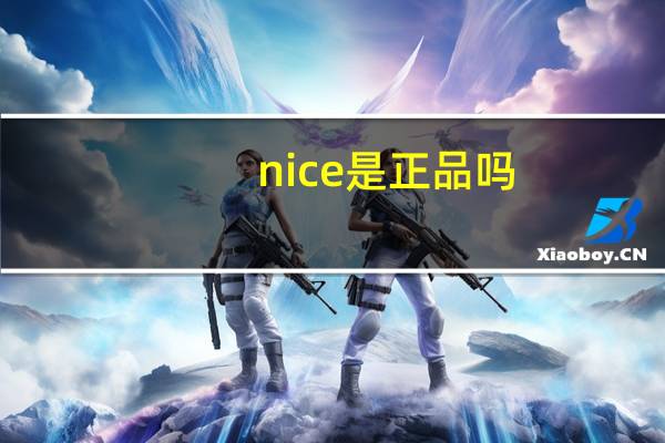 nice是正品吗