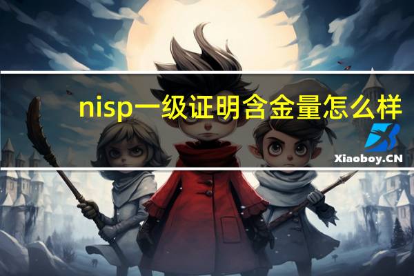 nisp一级证明含金量怎么样