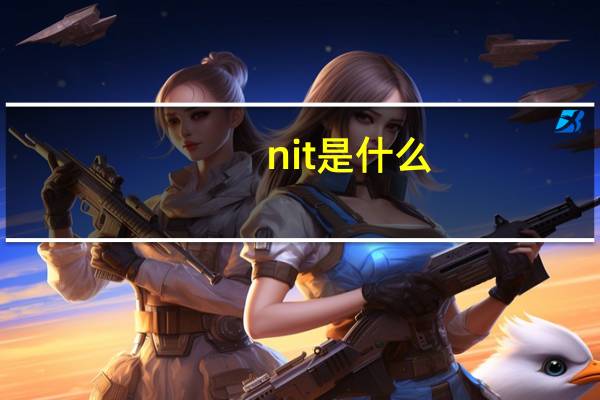 nit是什么