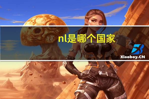 nl是哪个国家