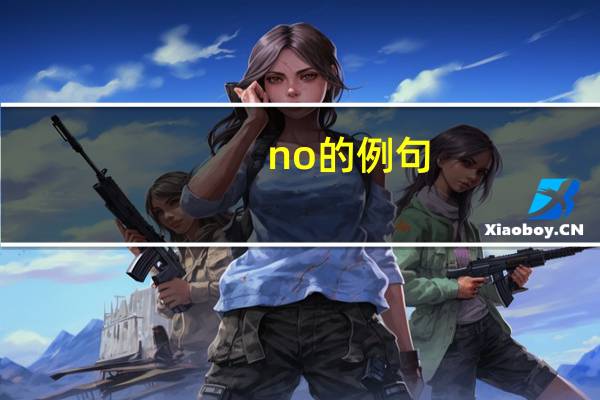 no的例句