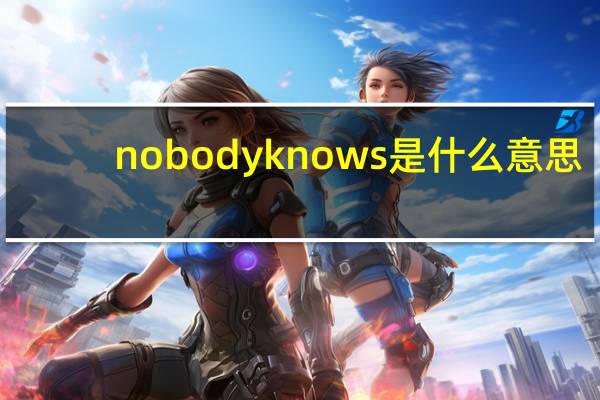 nobodyknows是什么意思