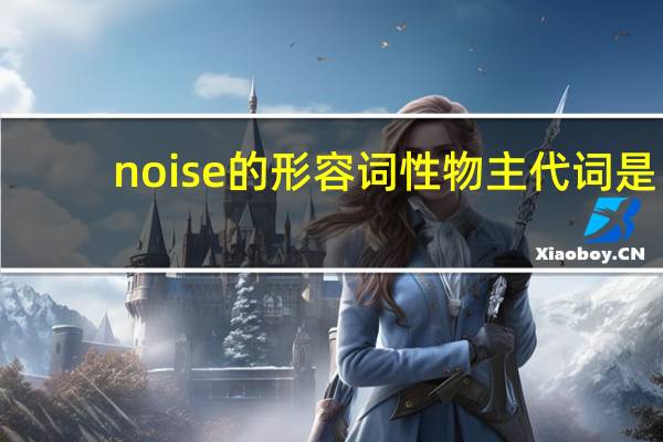 noise的形容词性物主代词是?