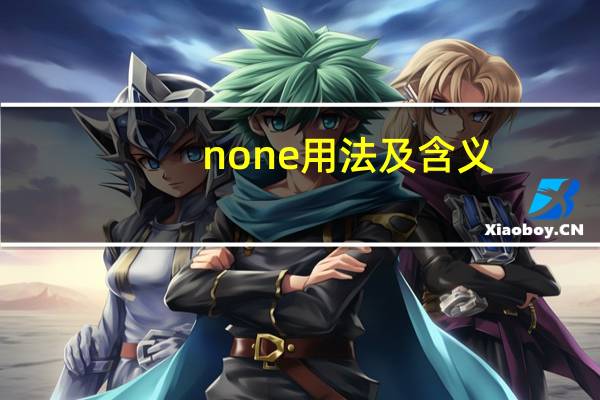 none用法及含义