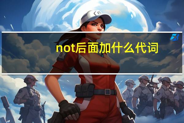 not后面加什么代词