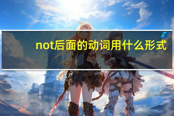 not后面的动词用什么形式
