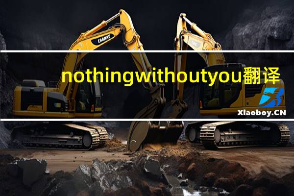 nothingwithoutyou翻译（nothing without you）