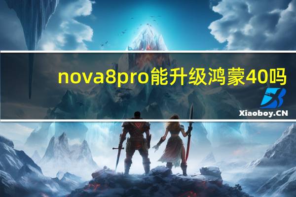 nova8pro能升级鸿蒙40吗