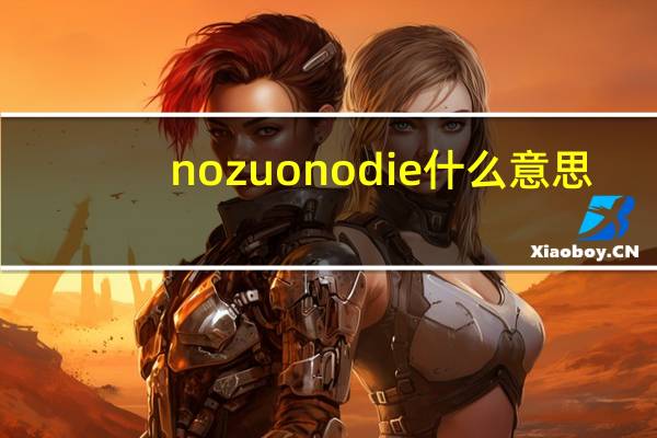 nozuonodie什么意思?（no zuo no die什么意思）