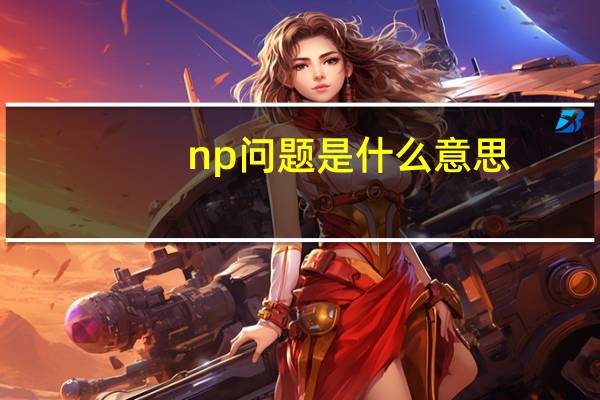 np问题是什么意思