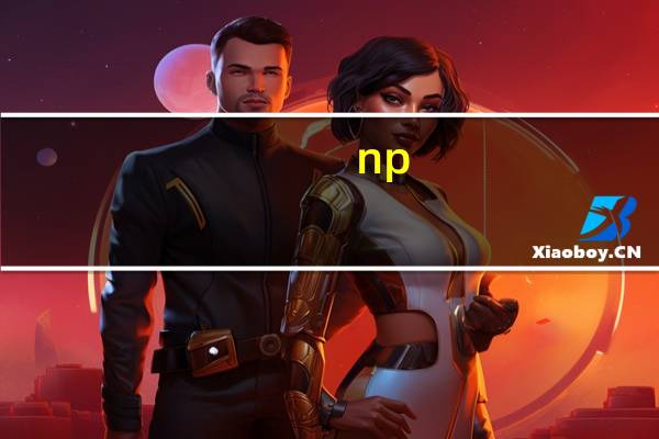 np（关于np的介绍）