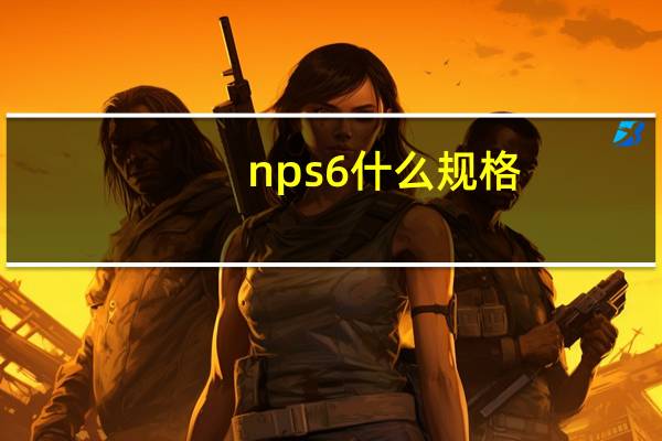 nps6什么规格