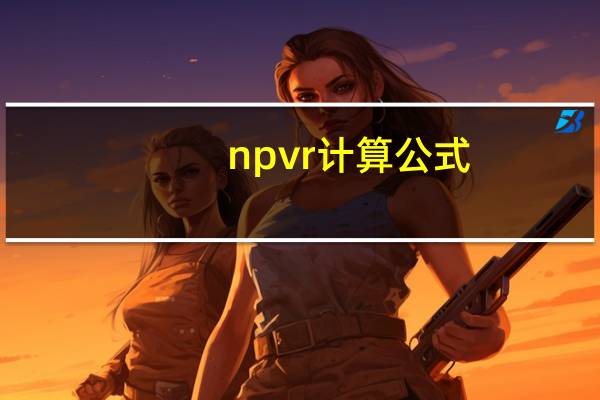 npvr计算公式