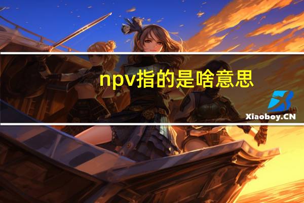 npv指的是啥意思