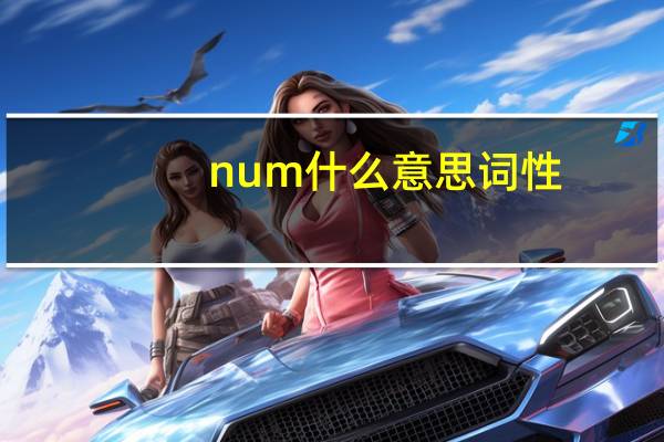 num什么意思词性