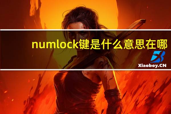numlock键是什么意思在哪（numlk键是什么意思）