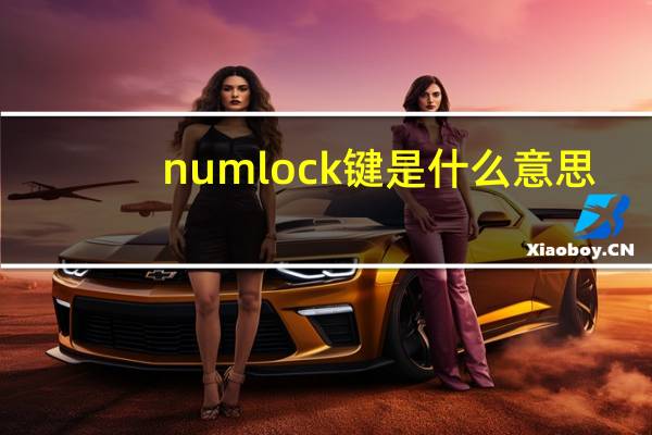 num lock键是什么意思
