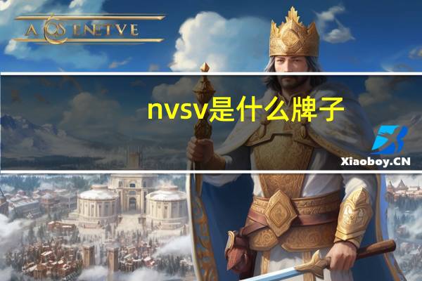nvsv是什么牌子