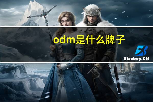 odm是什么牌子