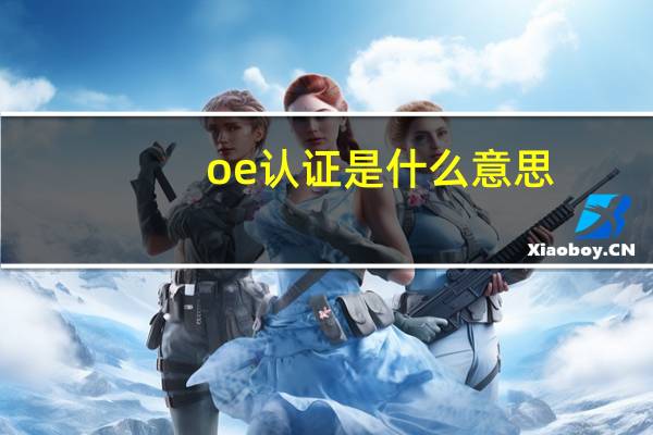 oe认证是什么意思