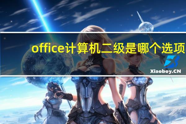 office计算机二级是哪个选项