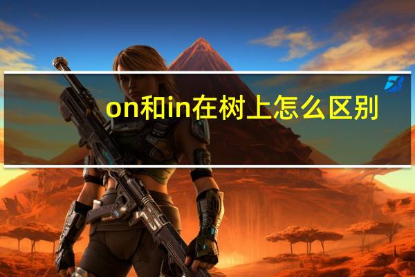 on和in在树上怎么区别