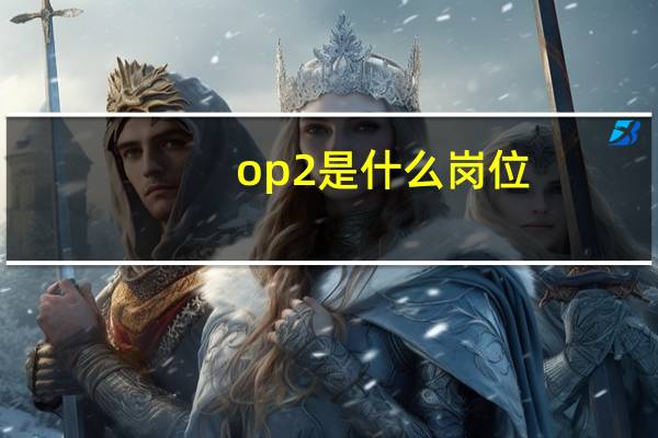 op2是什么岗位