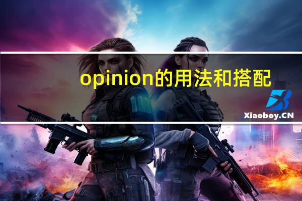opinion的用法和搭配
