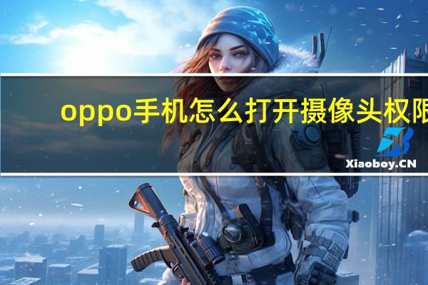 oppo手机怎么打开摄像头权限