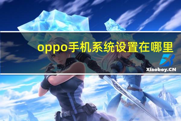 oppo手机系统设置在哪里