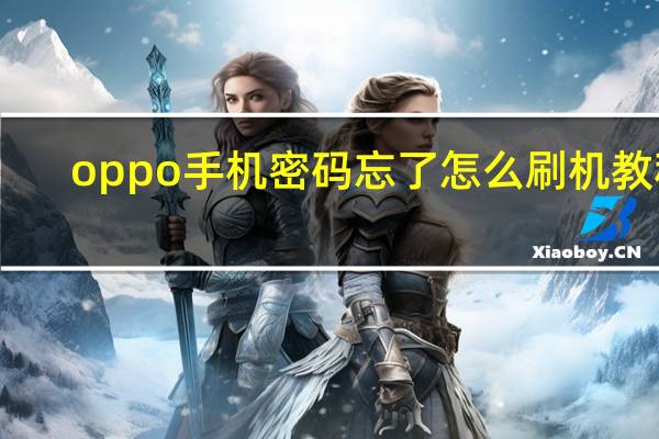 oppo手机密码忘了怎么刷机教程（oppo手机密码忘了怎么刷机）