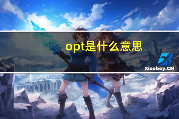 opt是什么意思