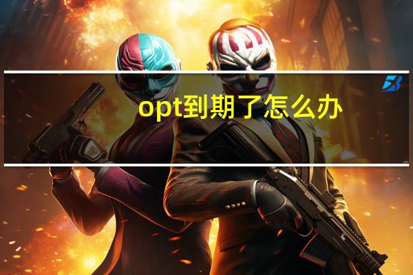 opt到期了怎么办