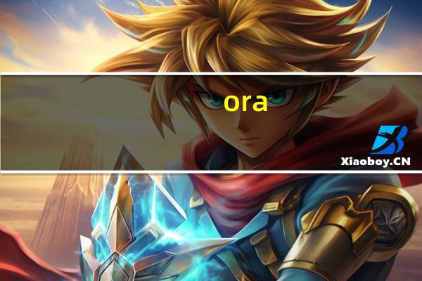 ora-12571包写入程序失败