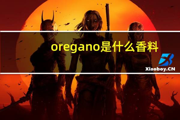 oregano是什么香料