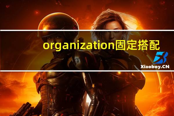 organization固定搭配
