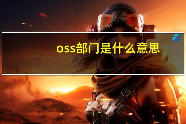 oss部门是什么意思