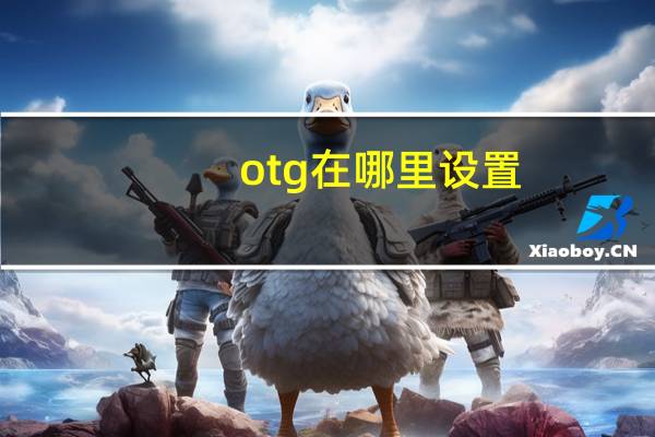 otg在哪里设置