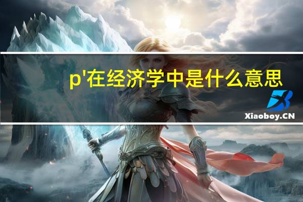 p\'在经济学中是什么意思