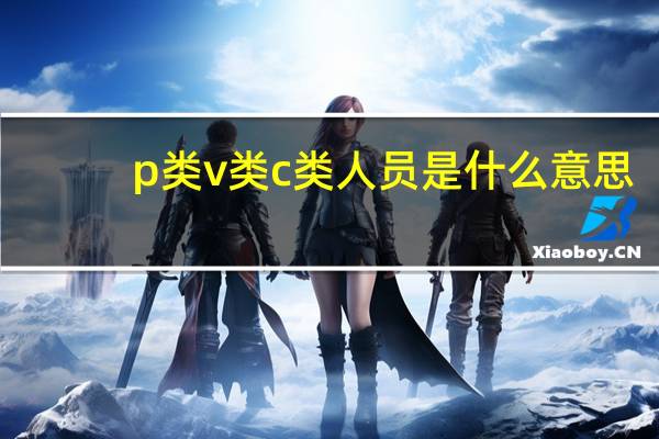 p类v类c类人员是什么意思