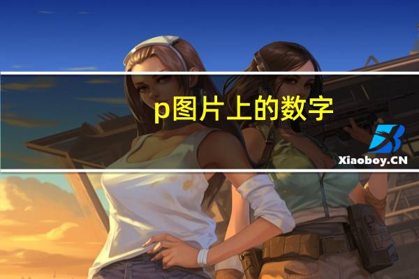 p图片上的数字（p图片）