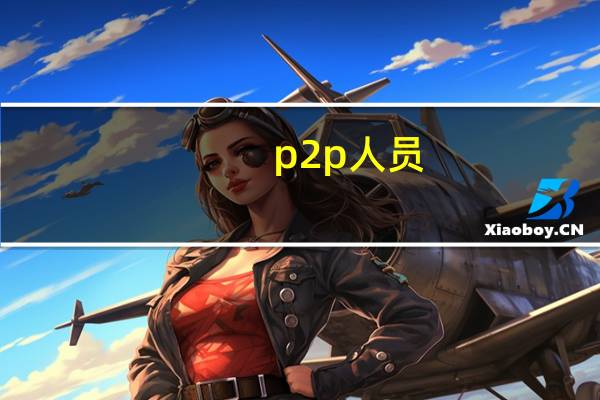 p2p人员（p2p网络管理员）