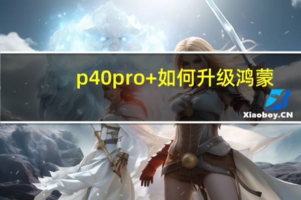 p40pro+如何升级鸿蒙（p40pro怎么升级鸿蒙系统）