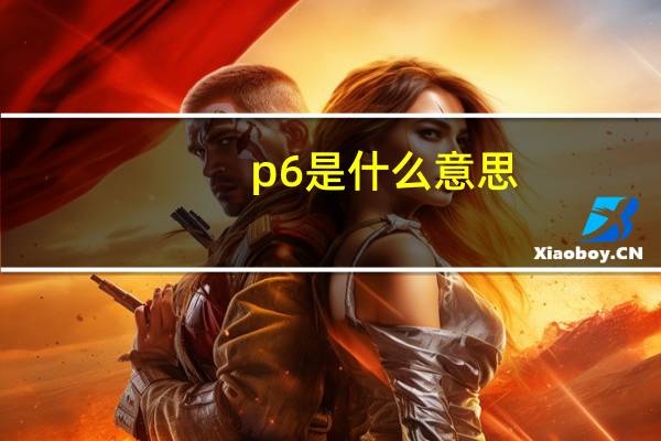 p6是什么意思（p6s）
