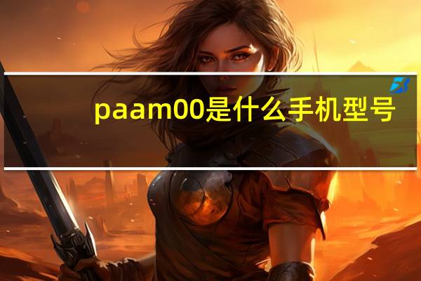 paam00是什么手机型号