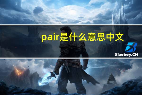 pair是什么意思中文