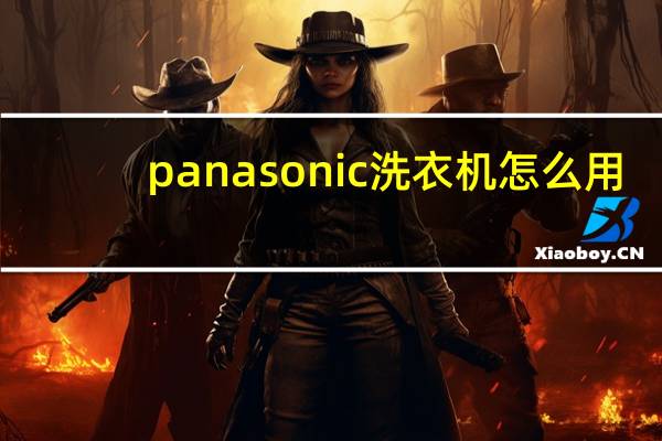 panasonic洗衣机怎么用