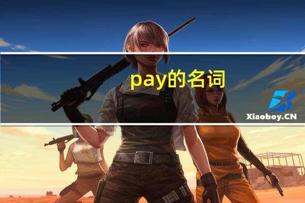 pay的名词