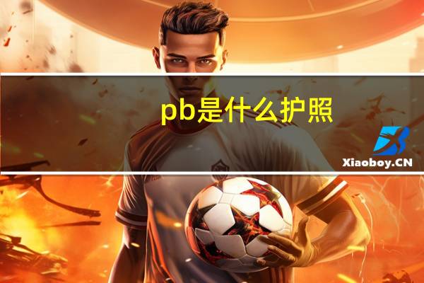 pb是什么护照