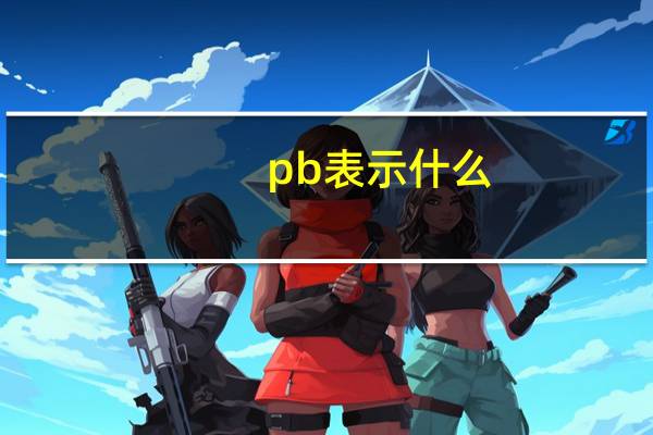 pb表示什么